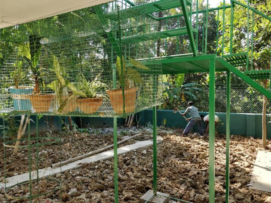 Bhitey Homestay Simantapally / Shantiniketan Eksteriør bilde